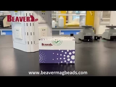 BeaverBeads™ Mag NH2 Magnetic Beads Unboxing Video
