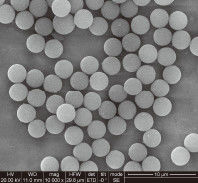 Quality  1μm 10 mg / mL 50 mL Carboxylated Magnetic Beads For Immunodiagnosis factory