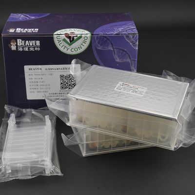 Quality  Viral DNA RNA Kit Nucleic Acid Extraction Kits Prefilled Plates 32 Reactions U Bottom factory
