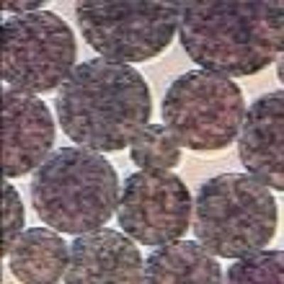 Quality  5 mL NHS Activated Magnetic Beads Preactivated N - Hydroxy Succinimide Nanoparticle factory