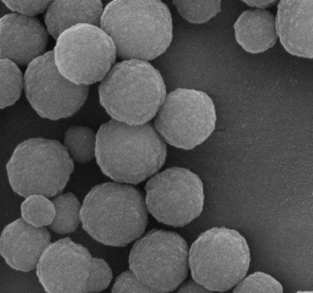 500nm 10 mL Silica Beads For DNA Extraction With Super Strong