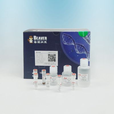 Extraction Beaver Beads Circulating DNA Kit Support OEM