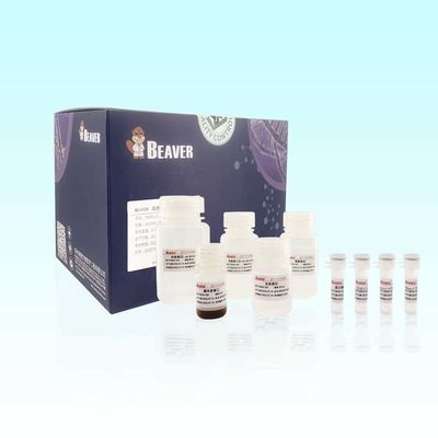 BeaverBeads Blood RNA Extraction Kit With High Compatibility