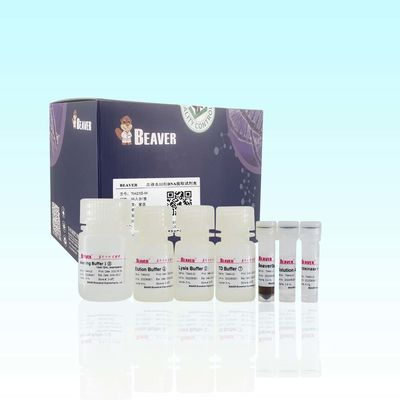 BeaverBeads Blood DNA Kit For Extract DNA High Purity