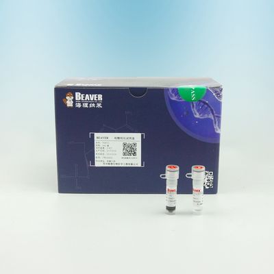 5 ML / 60 ML / 450 ML DNA Isolation Kit For DNA Library Building