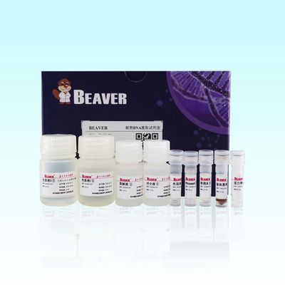 BeaverBeads Plant DNA Kit For Fast And Efficient Extraction In Scientific Research