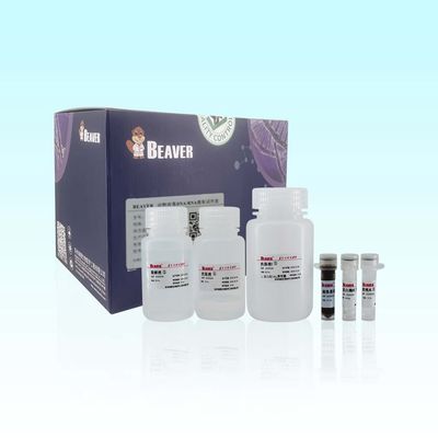 100 Rxns BeaverBeads Animal Viral DNA RNA Kit For Automated And High Throughput