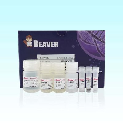 BeaverBeads Tissue DNA Kit 20 Rxns High Purity For Extraction