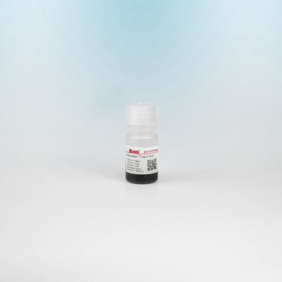 BeaverBeads DEAE Magnetic Beads Protein Purification With Fast Magnetic Response