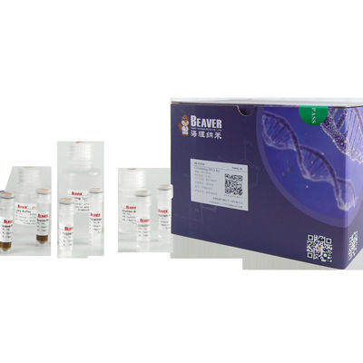 BeaverBeads Circulating DNA Kit Single Sample Automatic Extraction