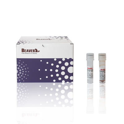 60 mL DNA Isolation Kit Reagents For Selecting DNA Fragments