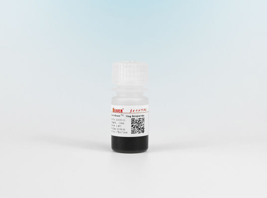 1μm Streptavidin Magnetic Beads For Chemiluminescence Cell Sorting Probe Capture