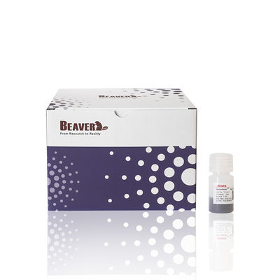 50% Volume Ratio 10 mL Agarose OH Magbeads  Protein Purification nucleic acid extraction and purification
