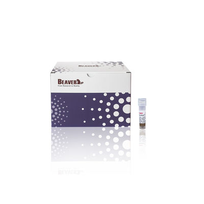 BeaverBeads® Anti-HA Magnetic Beads 1mL HA-Protein Beads