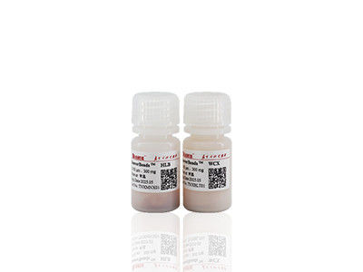100mL BeaverBeads IDA-Co With High Throughput And Low Cost 30-150um 10% Concentration