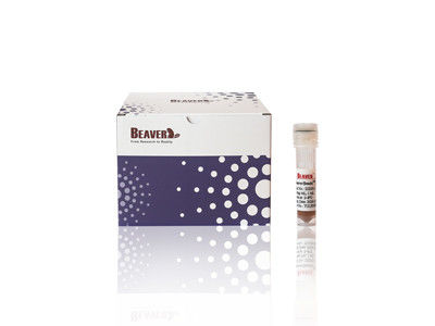 Immunoassay-grade magnetic polymer Beads, 1μm size 5mL