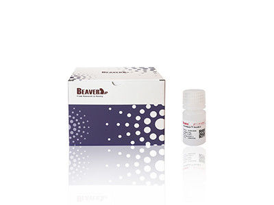 Magnetic Beads Protein Purification With Rapid Magnetic Reponse And High Heparin Density