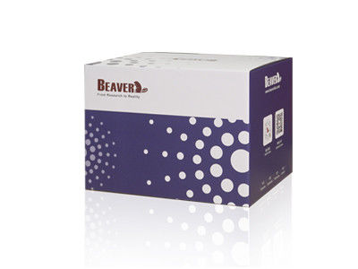 30-150 Micron Magnetic Beads Protein Purification Free Sample