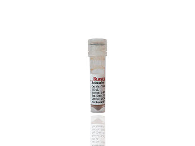 30-150 Micron Magnetic Beads Protein Purification Free Sample