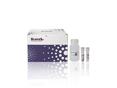 BeaverBeads Plant DNA Kit For Fast And Efficient Extraction In Scientific Research