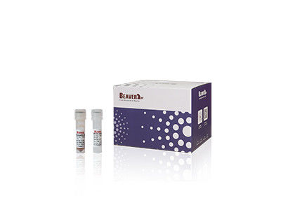 20 Rxns BeaverBeads Animal Viral DNA RNA Kit For Scientific Research