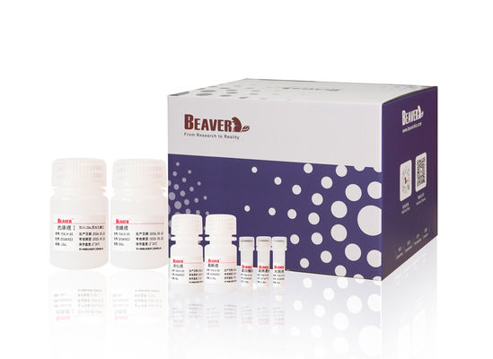 BeaverBeads™ Nucleic Acid Extraction And Purification Kit Magnetic Bead Method For Extraction