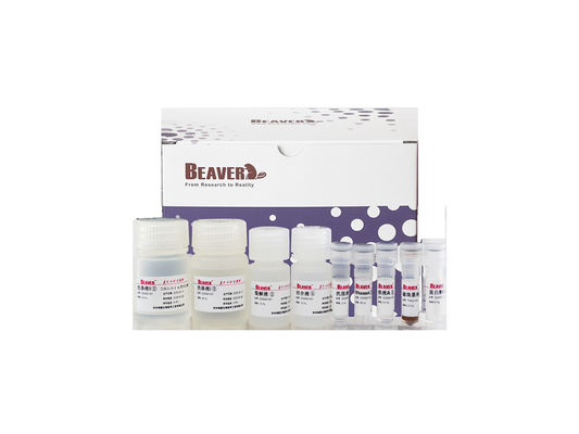 BeaverBeads™ Nucleic Acid Extraction Kit Plant DNA Kit Gene Breeding