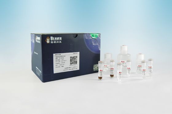 BeaverBeads Saliva DNA Extraction Kit Genetic Test