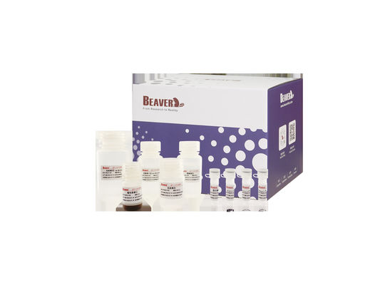 BeaverBeads™ DNA / RNA Blood Nucleic Acid Extraction Magnetic Beads Kits Genome Extraction Extration RNA Kit Genomic