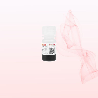 BeaverBeads 1um/2um/5um/300nm/2.8um/3um Streptavidin Magnetic Beads For Chemiluminescence And Nucleic Acid Detection