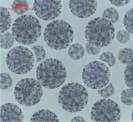BeaverBeads 10-30μm Magros Streptavidin Magnetic Beads The Ultimate Solution For Protein Enrichment And Purification