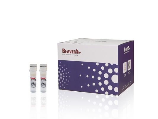 BeaverBeads™ Nucleic Acid Kit PCR Purification Reagent For Recovering DNA And Removing Impurities From PCR Products