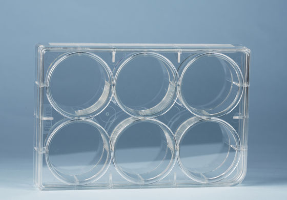 6 Well TCT Plate Cell Culture Consumables Transparent