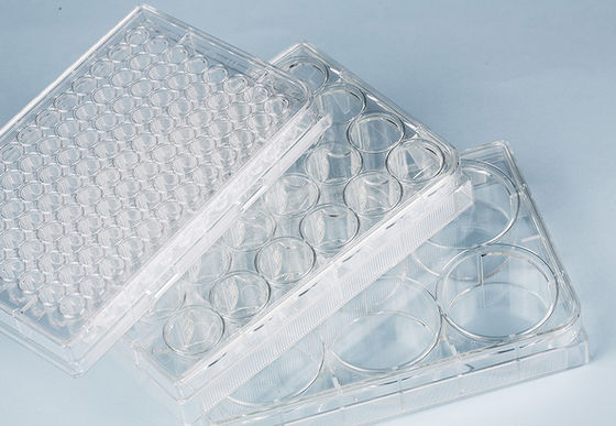 Suspension Cell Culture 24 Well Plate Medical Lab Consumables Sterile