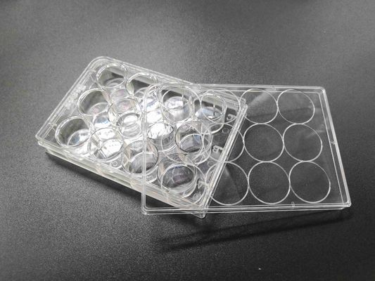 Tissue Culture Treatment 12 Well Plate Standard Packing Cell Culture Consumables