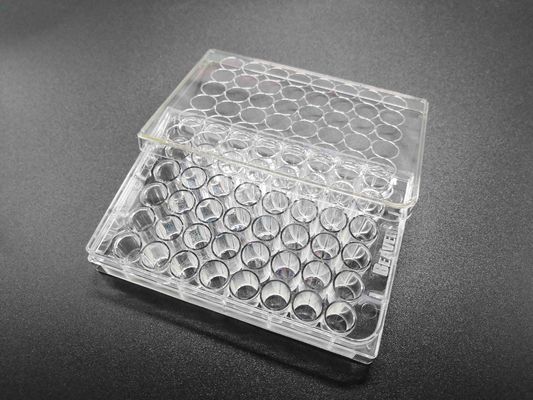 Transparent TCT Tissue Culture Treatment 48 Well Cell Culture Plate Standard Packing