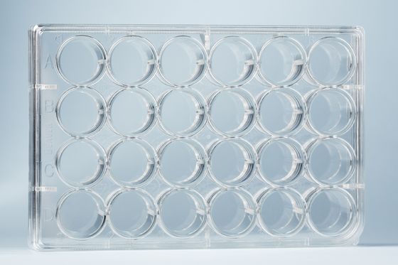 Lab 24 Well Plate Cell Culture Consumables Polystyrene