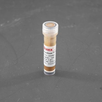 300nm Streptavidin Magnetic Beads For Cell Sorting Probe Capture 10 mg / mL 1 mL