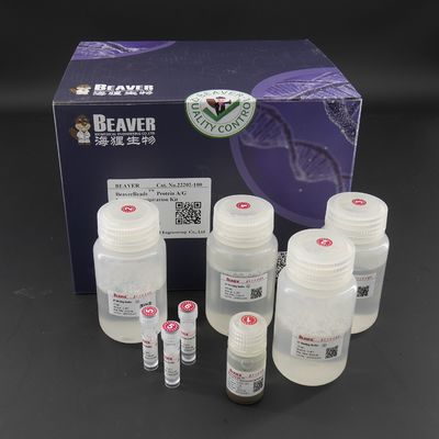 10 mg / mL Protein A/G Magnetic Beads For Immunoprecipitation 100 Reactions