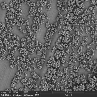 2.8μm Streptavidin Magnetic Beads For Chemiluminescence Cell Sorting