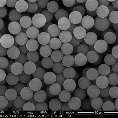 2.8μm Streptavidin Encapsulated Magnetic Beads For Cell Sorting 10 mg / mL 10 mL