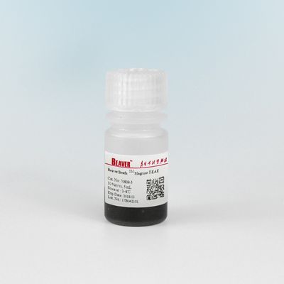 Agarose DEAE Magnetic Beads Protein Purification 30-150 μm 10% Volume Ratio 5 mL