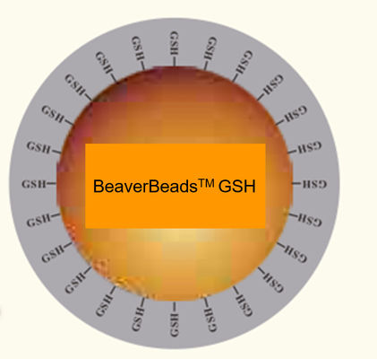 150 μm GSH Protein Purification Magnetic Beads 10% Volume Ratio 1000 mL