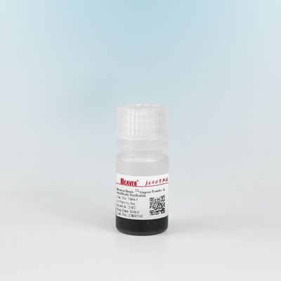 Agrose Protein A Magnetic Beads Protein Purification 10% Volume Ratio 5 mL
