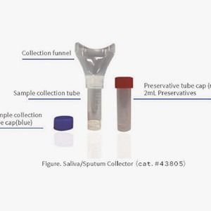 Saliva Sample Collection Kits For Collecting Saliva Samples 10mL Collection Tube