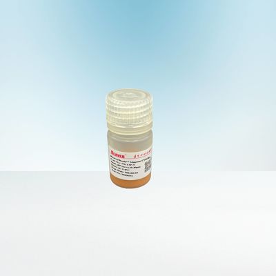 Protein Purification Agarose Carboxyl Magbeads 10 - 30 μM 20% Volume Ratio
